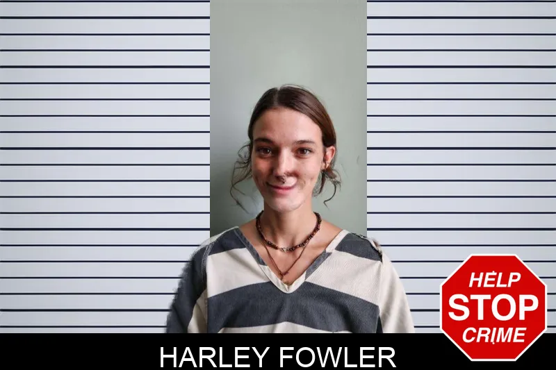 Harley Fowler mugshot