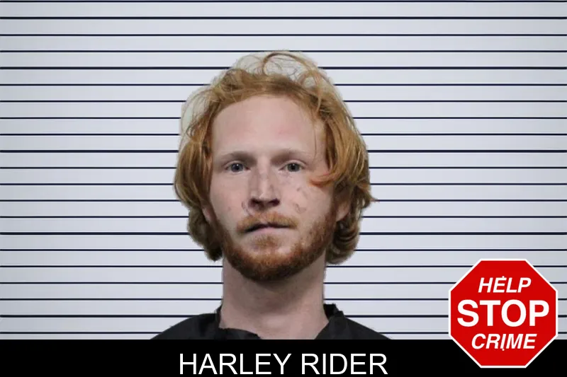 Harley Rider mugshot – Habersham County , Georgia Harley Rider mugshot