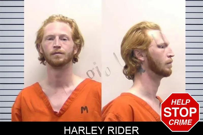 Harley Rider mugshot