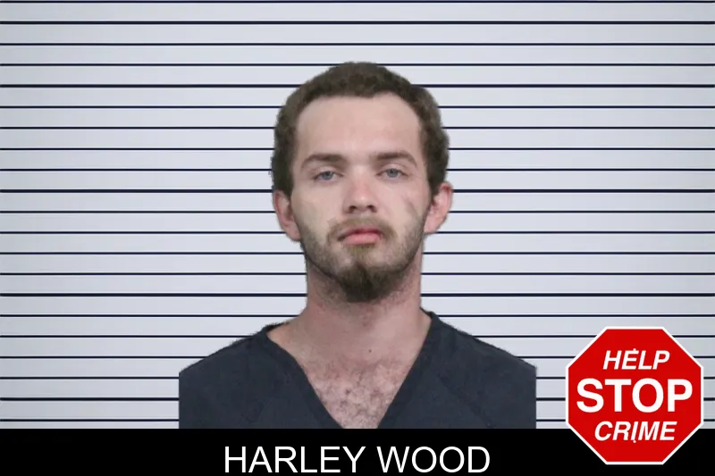Harley Wood mugshot