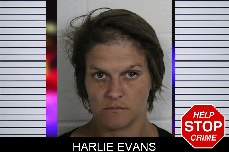 Harlie Evans mugshot – Floyd County , Georgia Harlie Evans mugshot