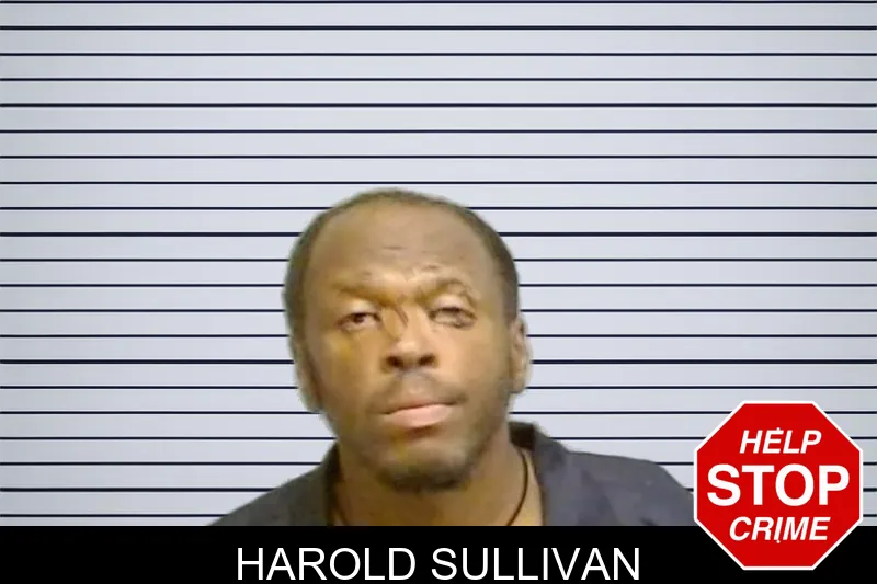 Harold Sullivan mugshot