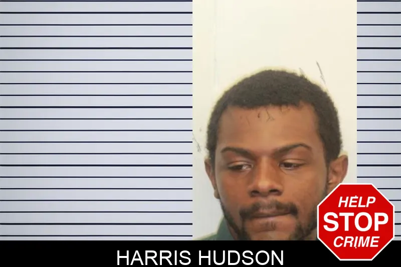 Harris Hudson mugshot – Chatham County , Georgia Harris Hudson mugshot