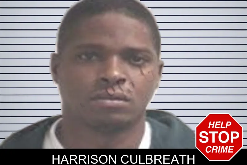 Harrison Culbreath mugshot – Henry County , Georgia Harrison Culbreath mugshot