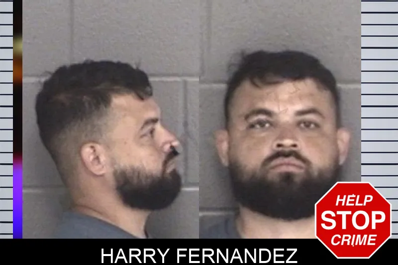 Harry Fernandez mugshot