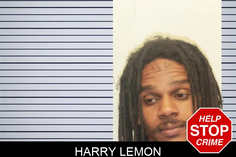 Harry Lemon mugshot