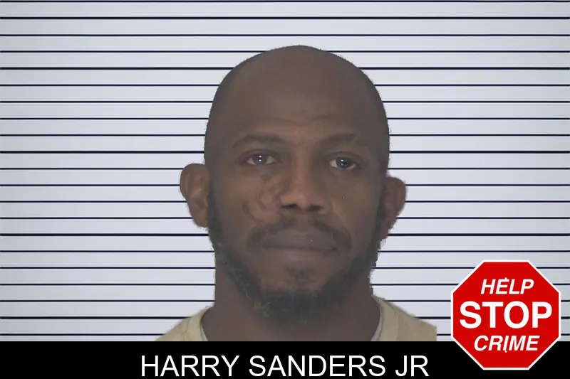 Harry Sanders Jr mugshot
