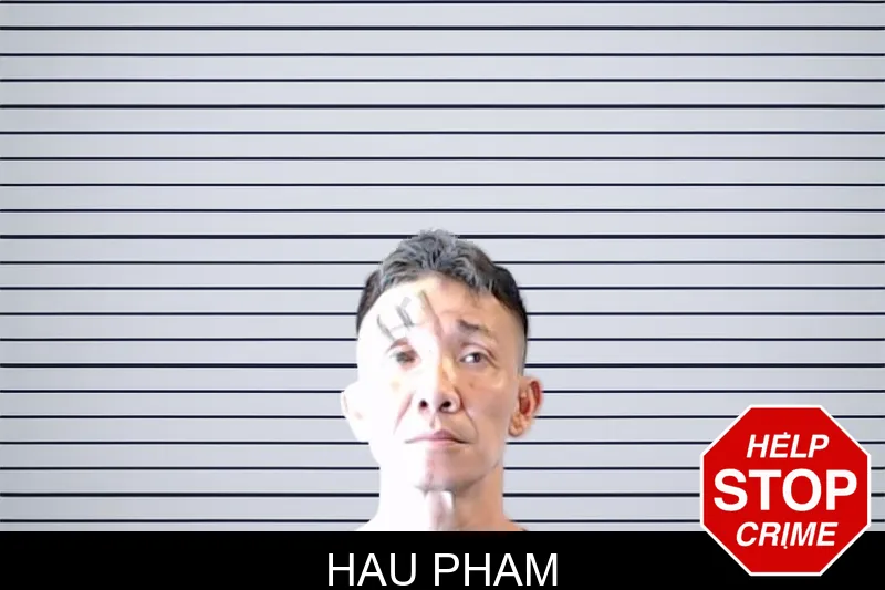 Hau Pham mugshot