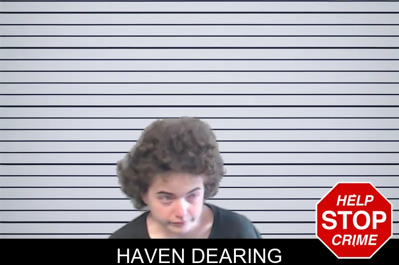 Haven Dearing mugshot