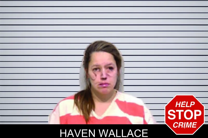 Haven Wallace mugshot – Bartow County , Georgia Haven Wallace mugshot