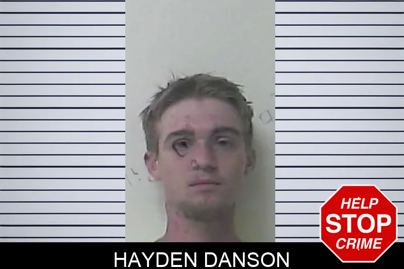 Hayden Danson mugshot