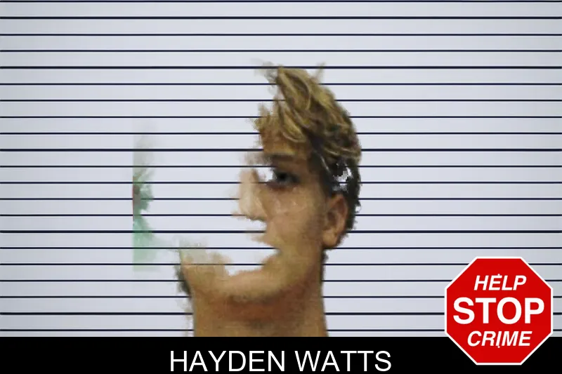 Hayden Watts mugshot