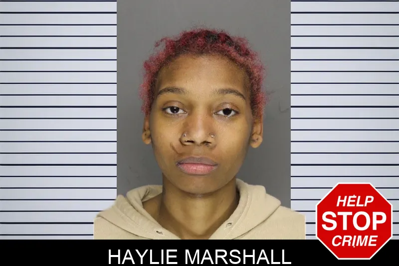 Haylie Marshall mugshot