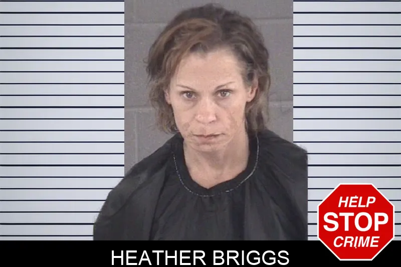 Heather Briggs mugshot