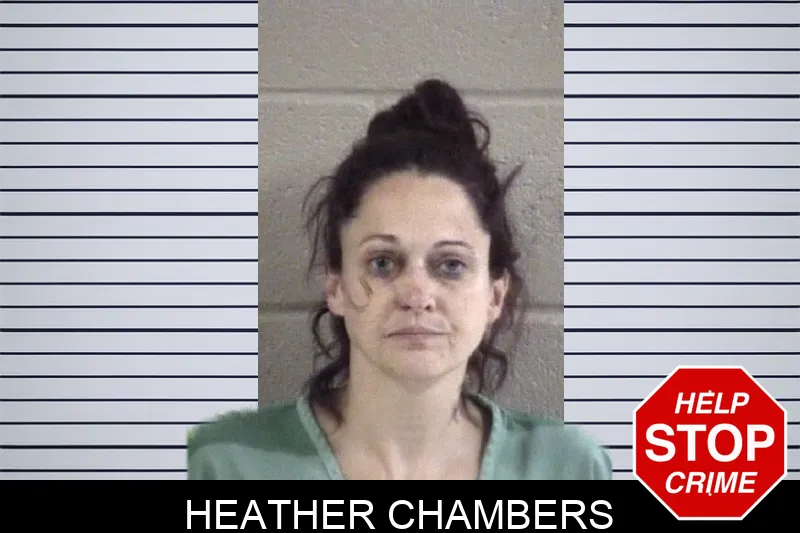 Heather Chambers mugshot – Whitfield County , Georgia Heather Chambers mugshot