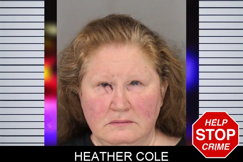 Heather Cole mugshot – Cobb County , Georgia Heather Cole mugshot