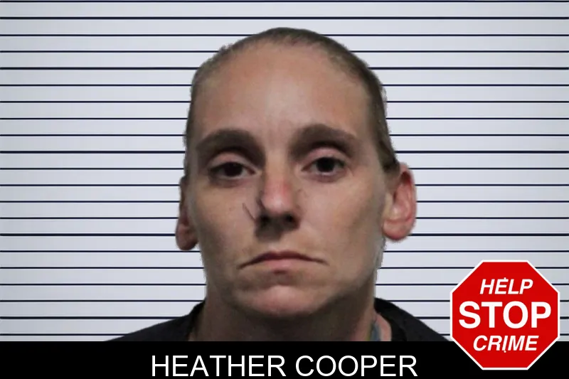 Heather Cooper mugshot – Habersham County , Georgia Heather Cooper mugshot