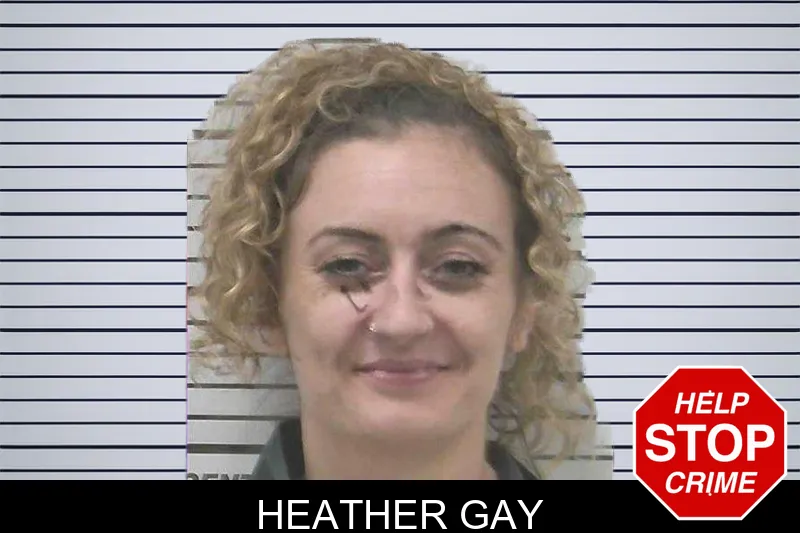 Heather Gay mugshot