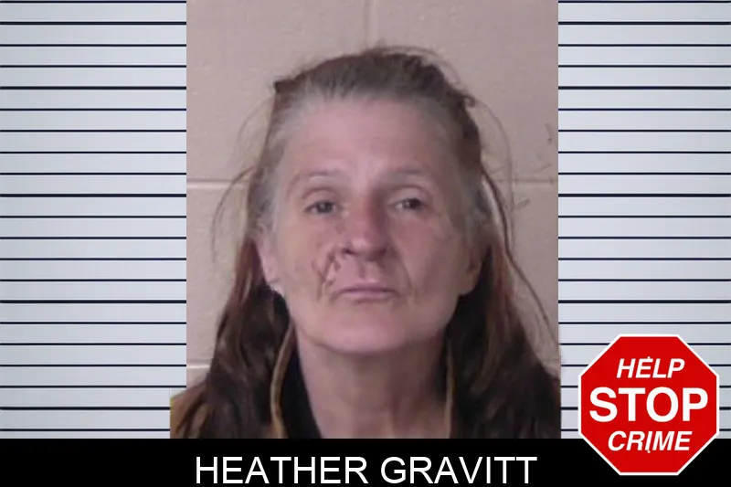 Heather Gravitt mugshot