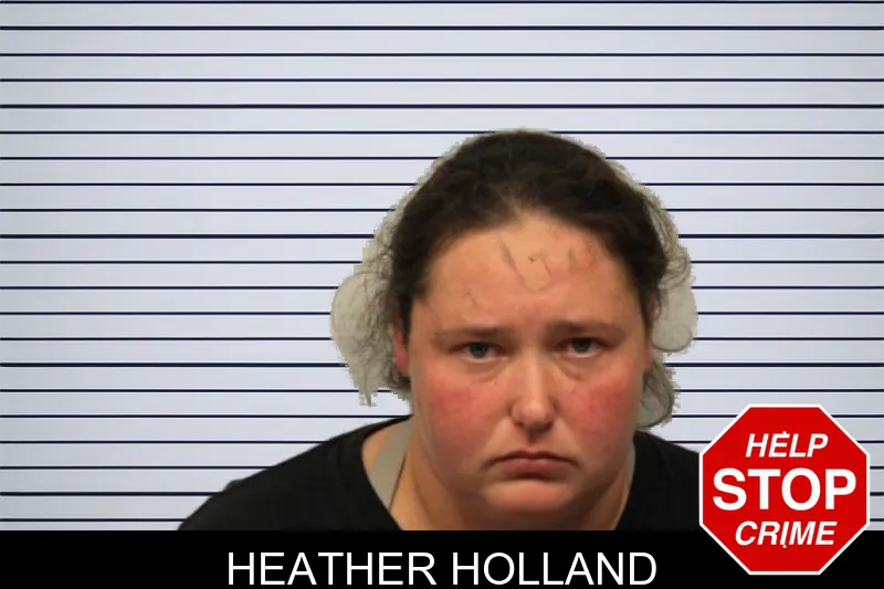 Heather Holland mugshot