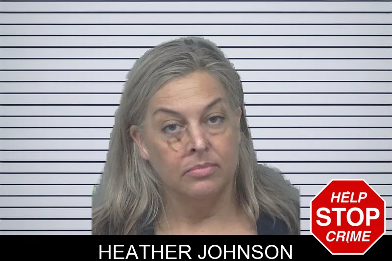 Heather Johnson mugshot