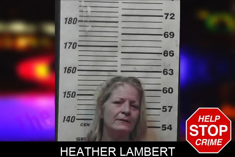 Heather Lambert mugshot