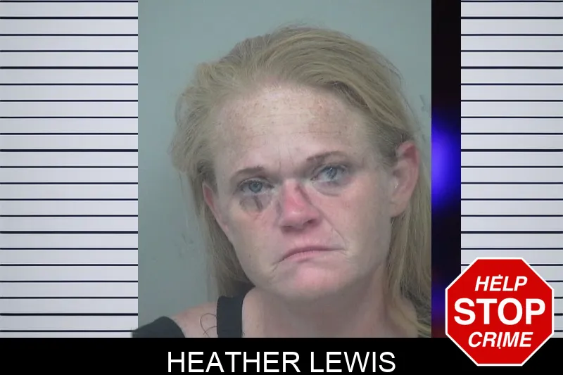 Heather Lewis mugshot