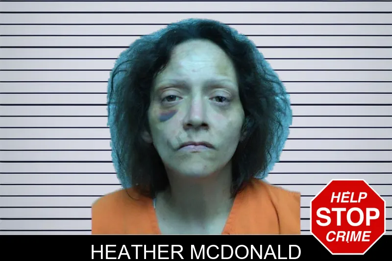 Heather McDonald mugshot