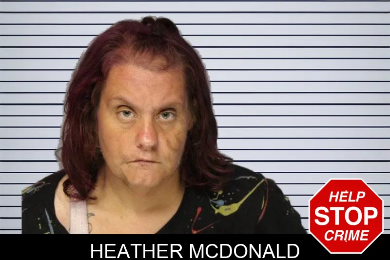 Heather McDonald mugshot – Hall County , Georgia Heather McDonald mugshot