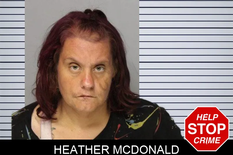 Heather McDonald mugshot