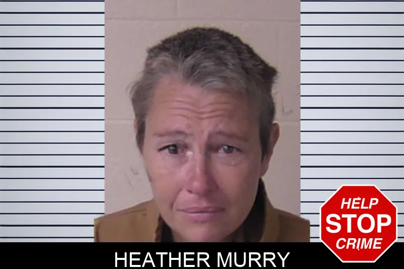 Heather Murry mugshot