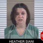 Heather Siani mugshot – Whitfield County , Georgia Heather Siani mugshot