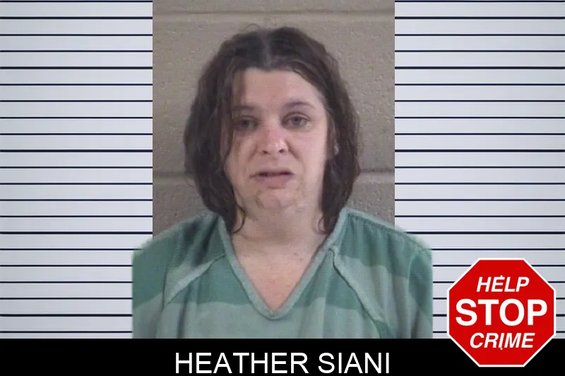 Heather Siani mugshot – Whitfield County , Georgia Heather Siani mugshot