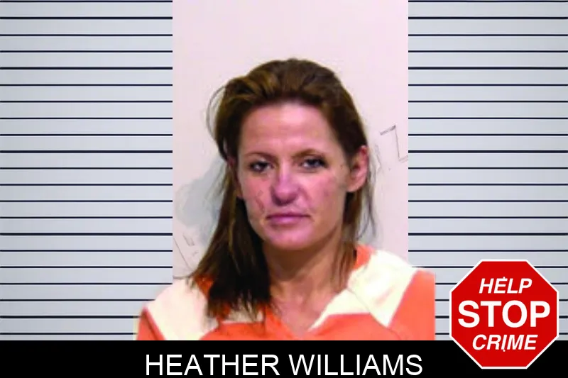 Heather Williams mugshot – Bartow County , Georgia Heather Williams mugshot