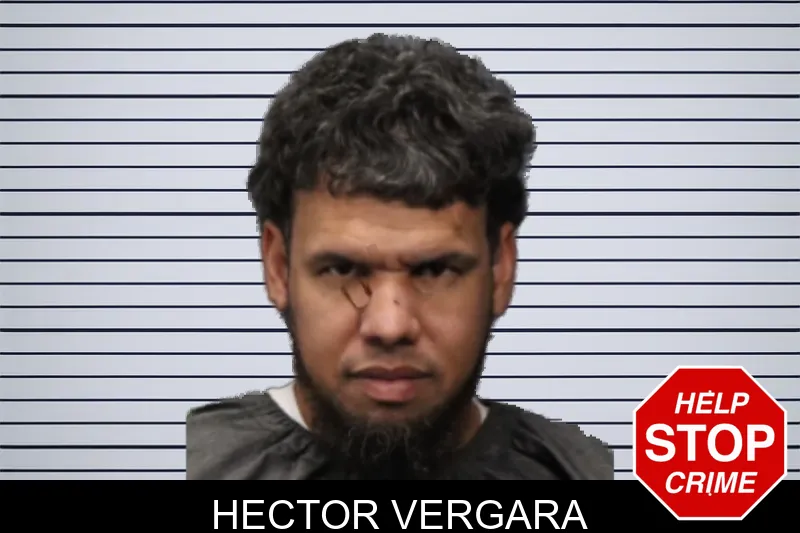Hector Vergara mugshot – Forsyth County , Georgia Hector Vergara mugshot