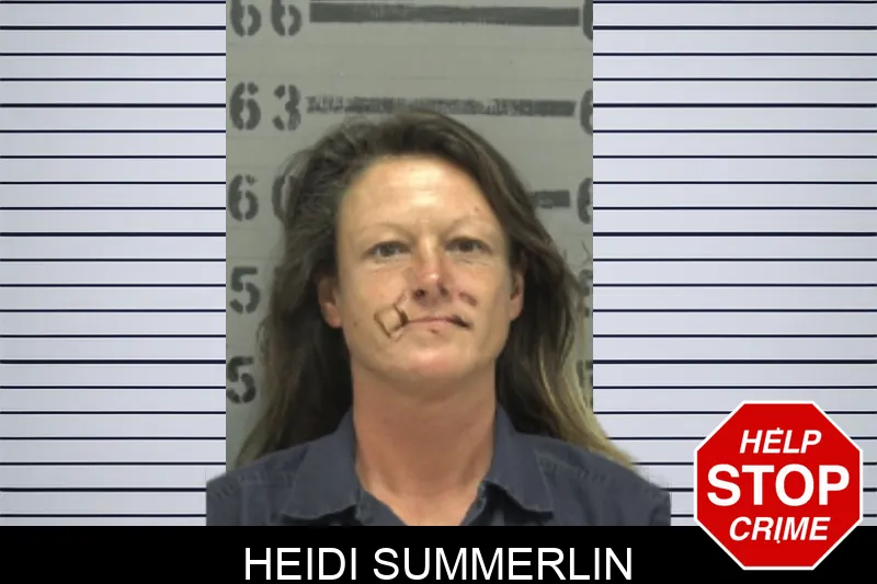 Heidi Summerlin mugshot – Dougherty County , Georgia Heidi Summerlin mugshot