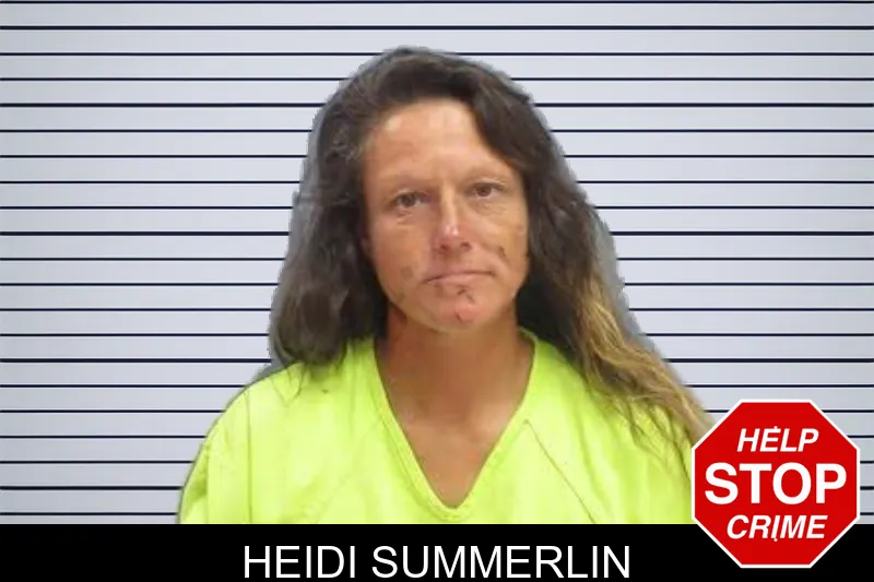 Heidi Summerlin mugshot