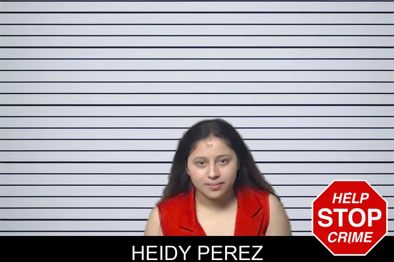 Heidy Perez mugshot – DeKalb County , Georgia Heidy Perez mugshot