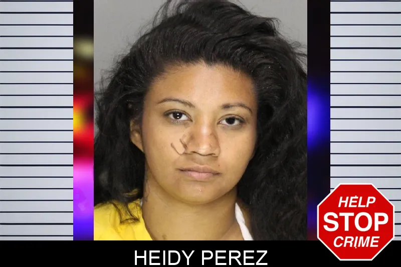 Heidy Perez mugshot – Cobb County , Georgia Heidy Perez mugshot