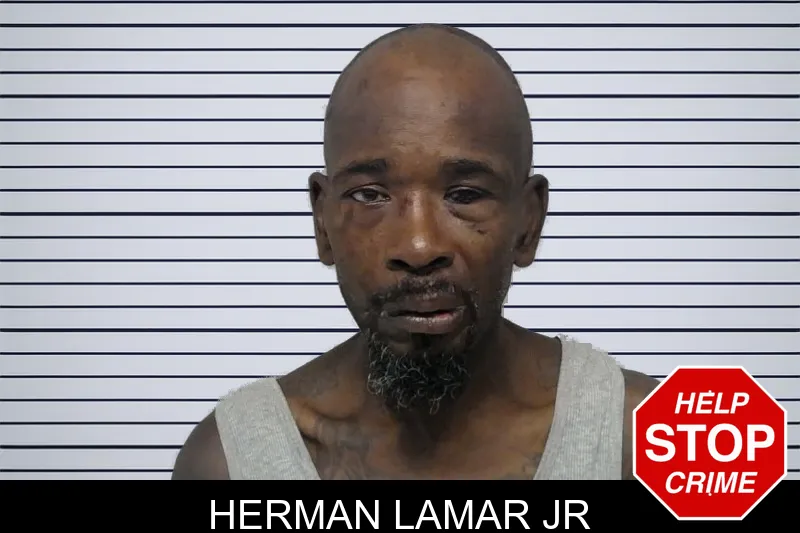 Herman Lamar Jr mugshot – Bibb County , Georgia Herman Lamar Jr mugshot