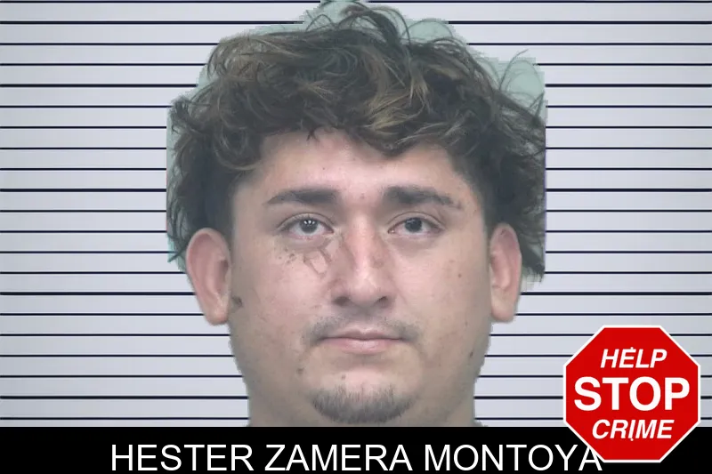 Hester Zamera Montoya mugshot – Gwinnett County , Georgia Hester Zamera Montoya mugshot