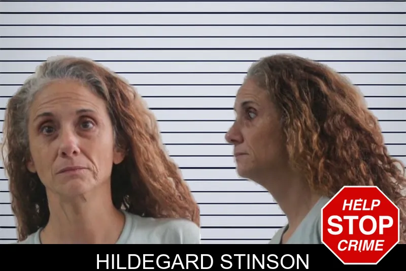 Hildegard Stinson mugshot – Houston County , Georgia Hildegard Stinson mugshot