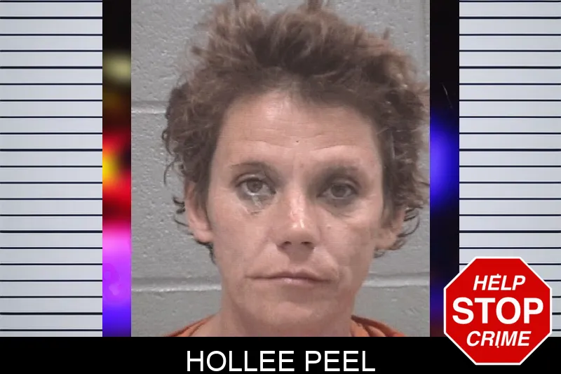 Hollee Peel mugshot – Columbia County , Georgia Hollee Peel mugshot