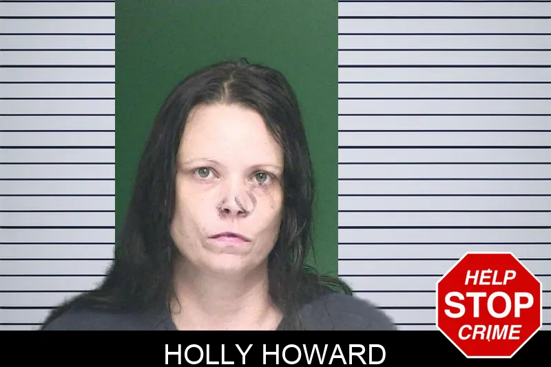 Holly Howard mugshot