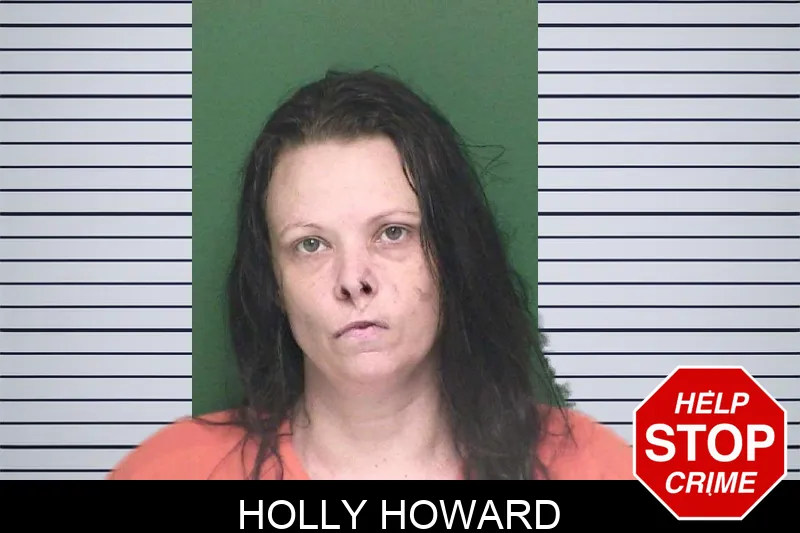 Holly Howard mugshot