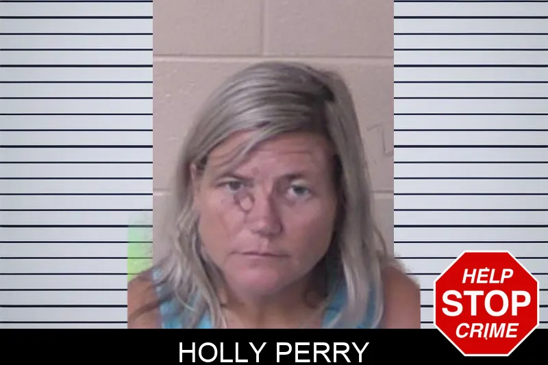 Holly Perry mugshot