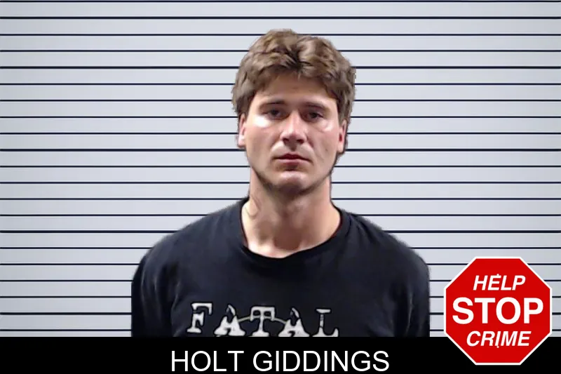 Holt Giddings mugshot – DeKalb County , Georgia Holt Giddings mugshot