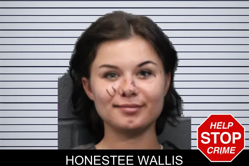 Honestee Wallis mugshot