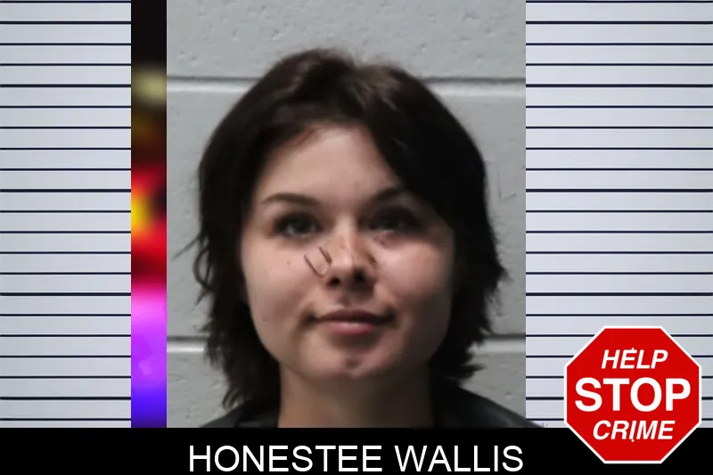 Honestee Wallis mugshot