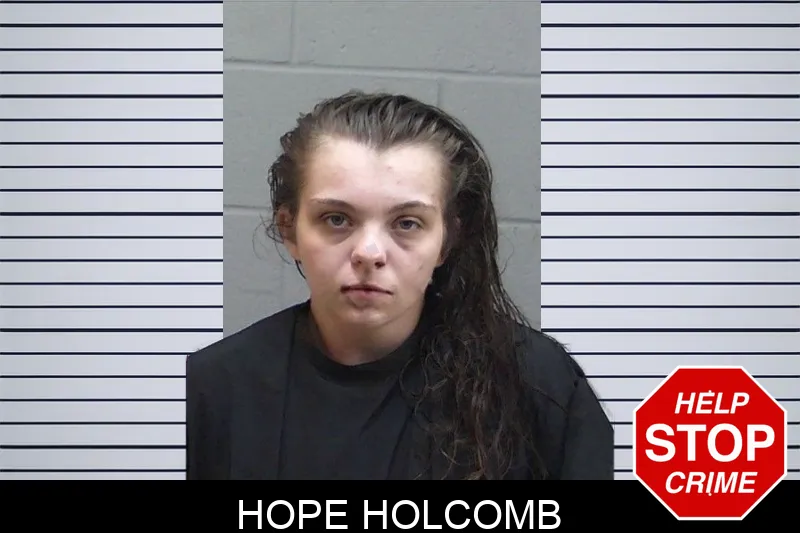 Hope Holcomb mugshot